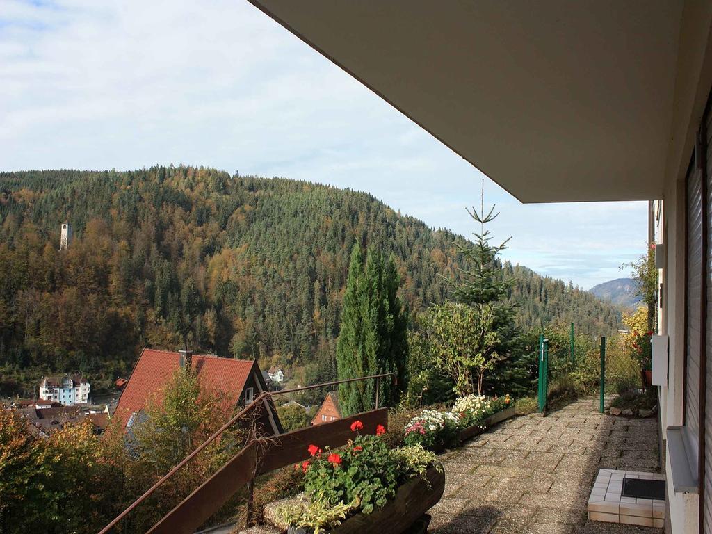 Ferienwohnung King Triberg im Schwarzwald Exteriér fotografie