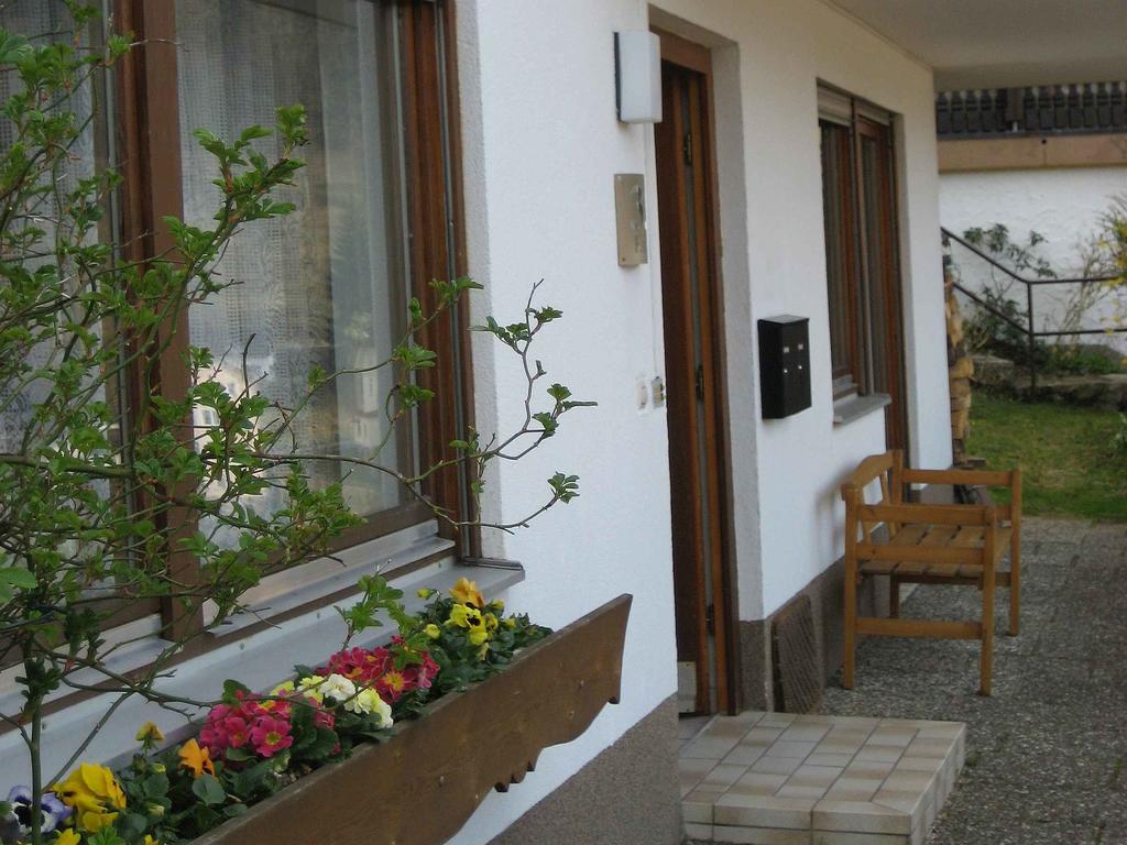 Ferienwohnung King Triberg im Schwarzwald Exteriér fotografie