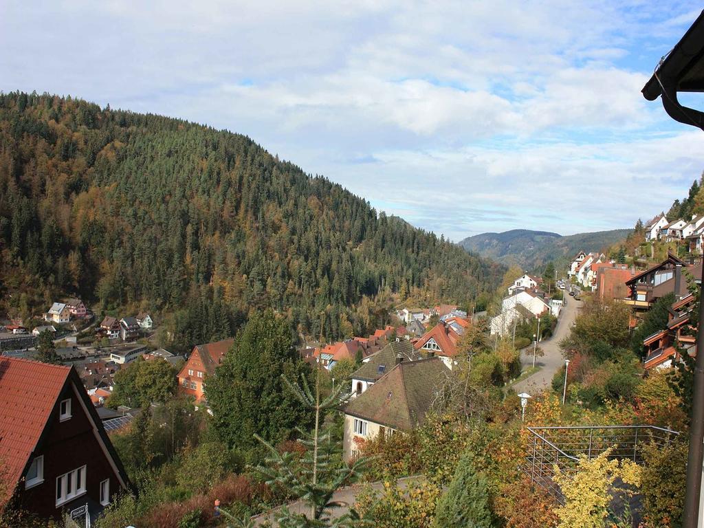 Ferienwohnung King Triberg im Schwarzwald Exteriér fotografie